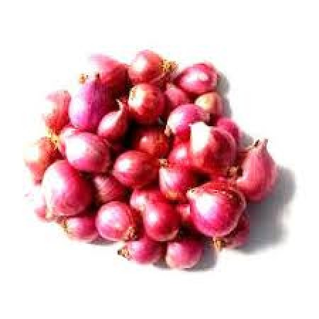 ONION (Small)